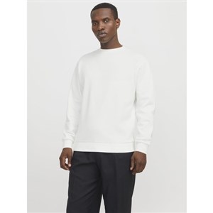Jack Jones Erkek Sweatshirt 12249341