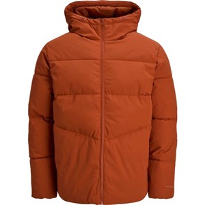 Jack Jones Erkek Ceket 12283517